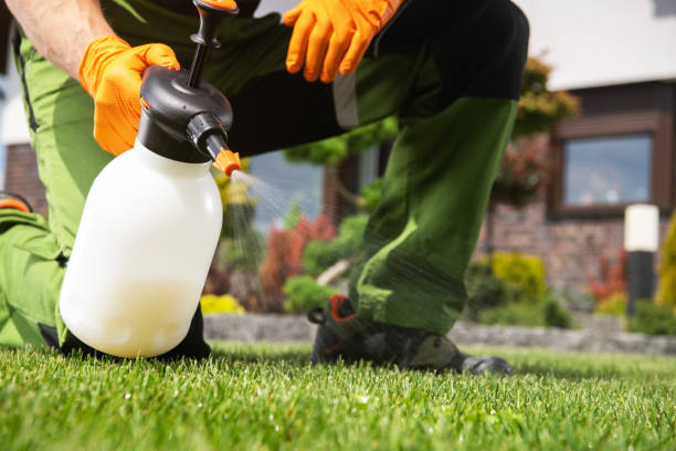 Best Pest Control Near Me in Salton City, CA