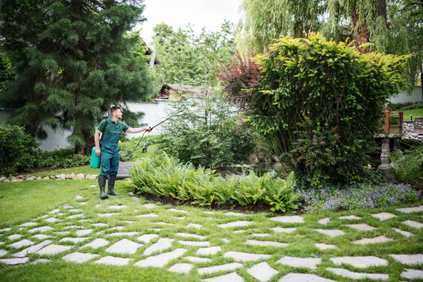 Best Pest Removal Services  in Salton City, CA