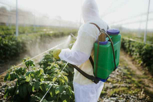 Best Ant Control Services  in Salton City, CA